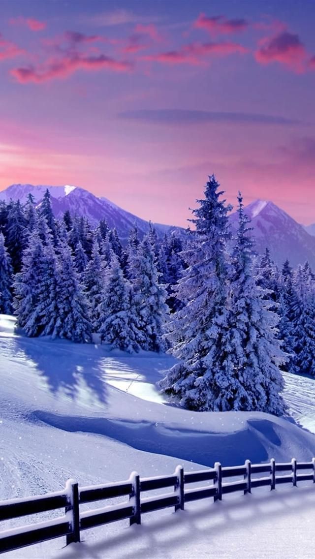 冬の壁紙iphone,雪,自然,冬,自然の風景,木