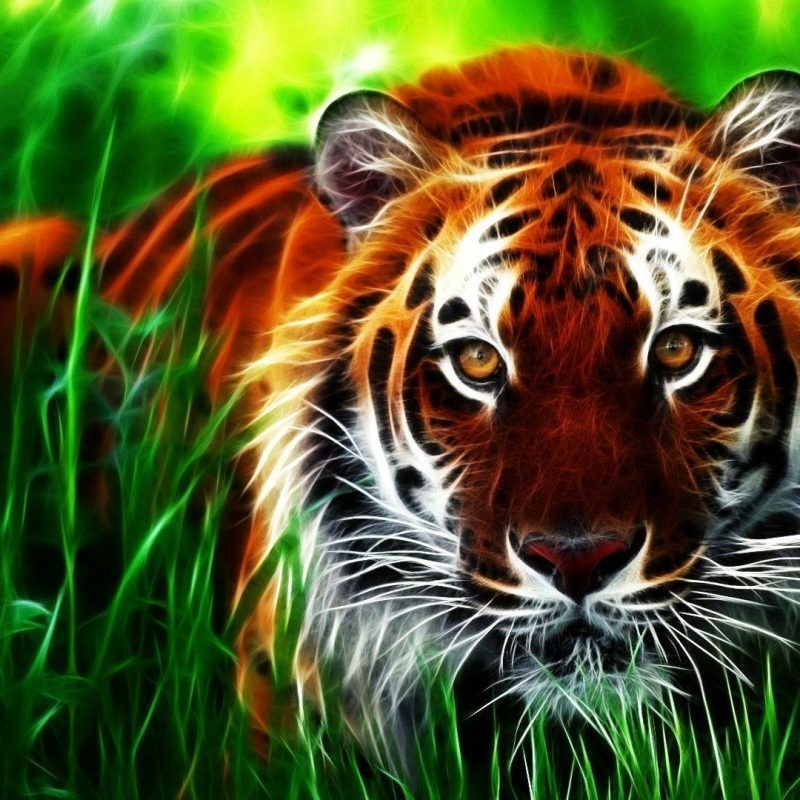 My Image 11