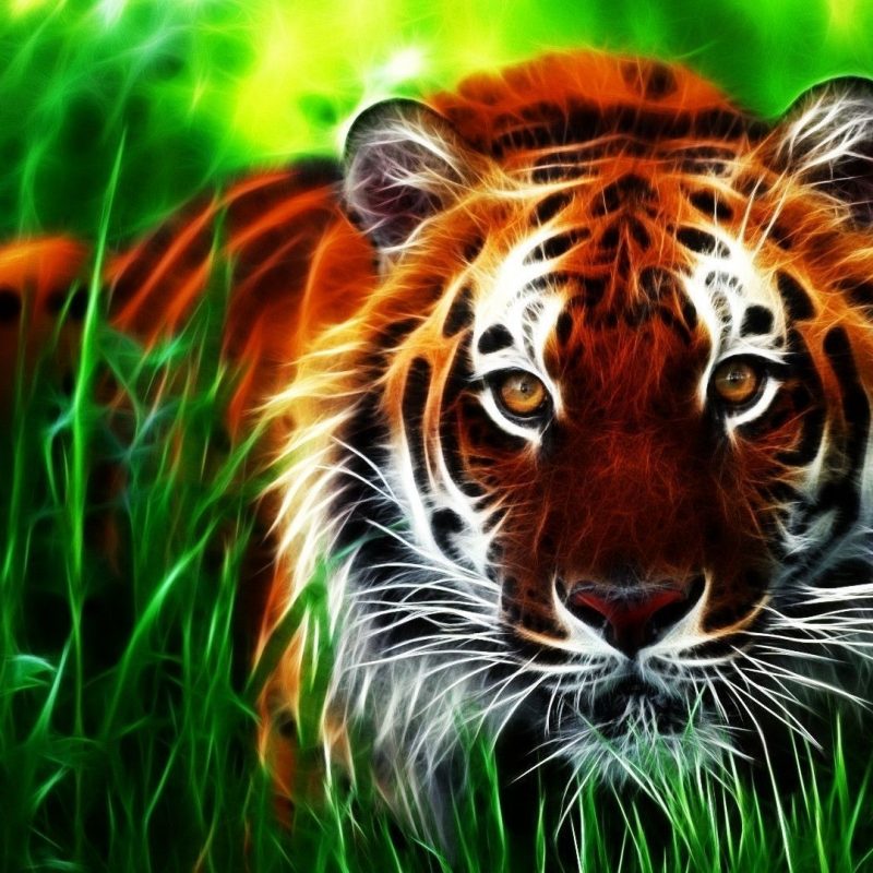 full hd 3d wallpapers 1920x1080 téléchargement gratuit,tigre,faune,tigre du bengale,animal terrestre,félidés