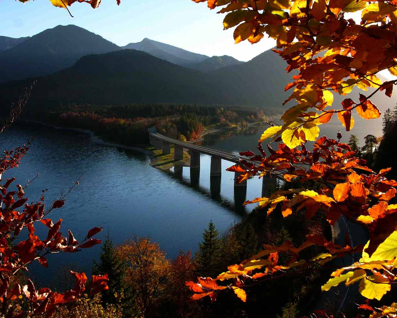 tapete romantis,natürliche landschaft,natur,blatt,baum,himmel