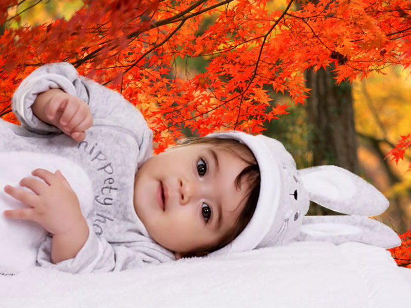 甘い赤ちゃんの写真の壁紙,子,赤ちゃん,葉,木,幼児