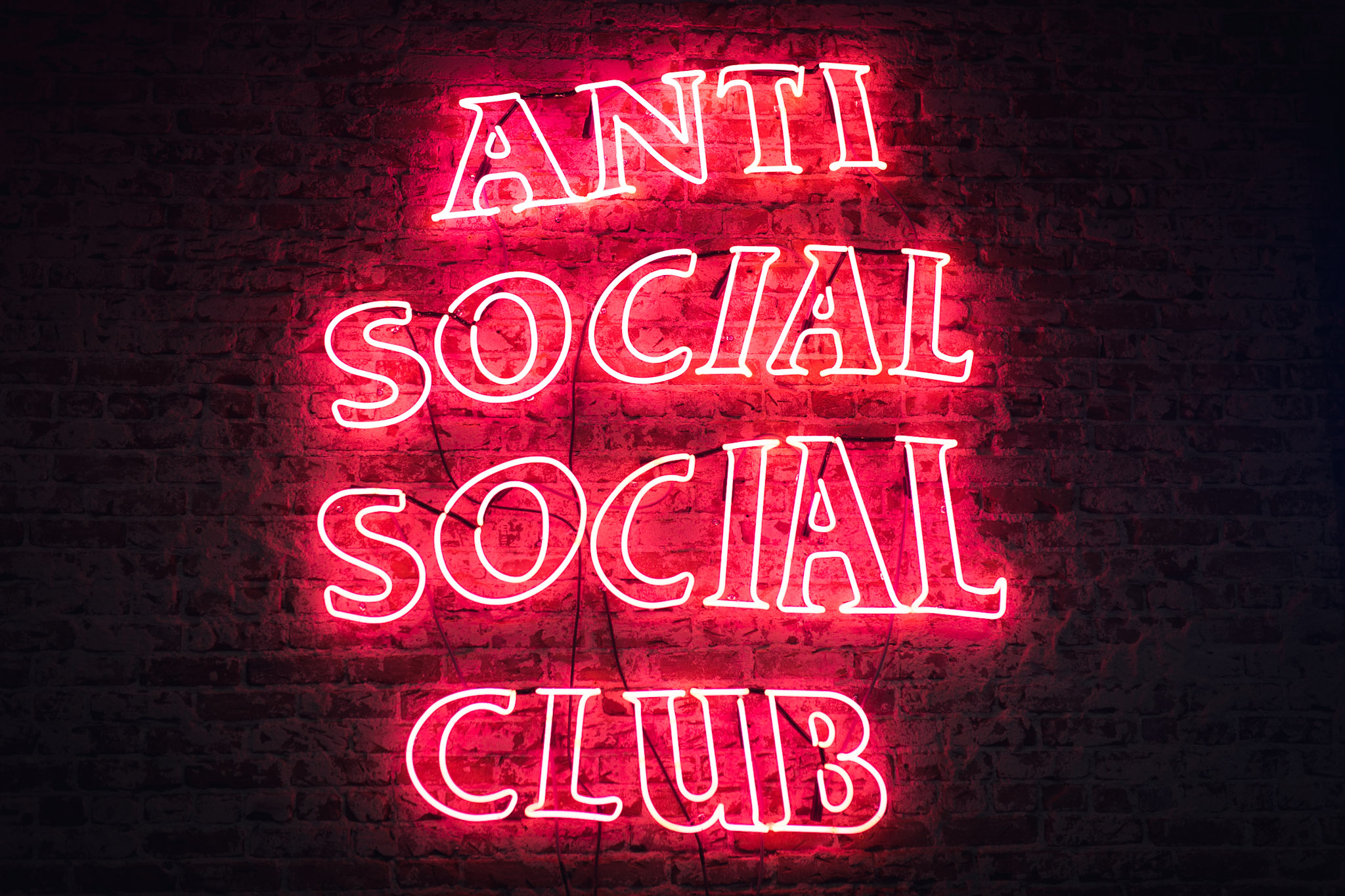 anti social social club wallpaper,electronic signage,neon sign,neon,red,text