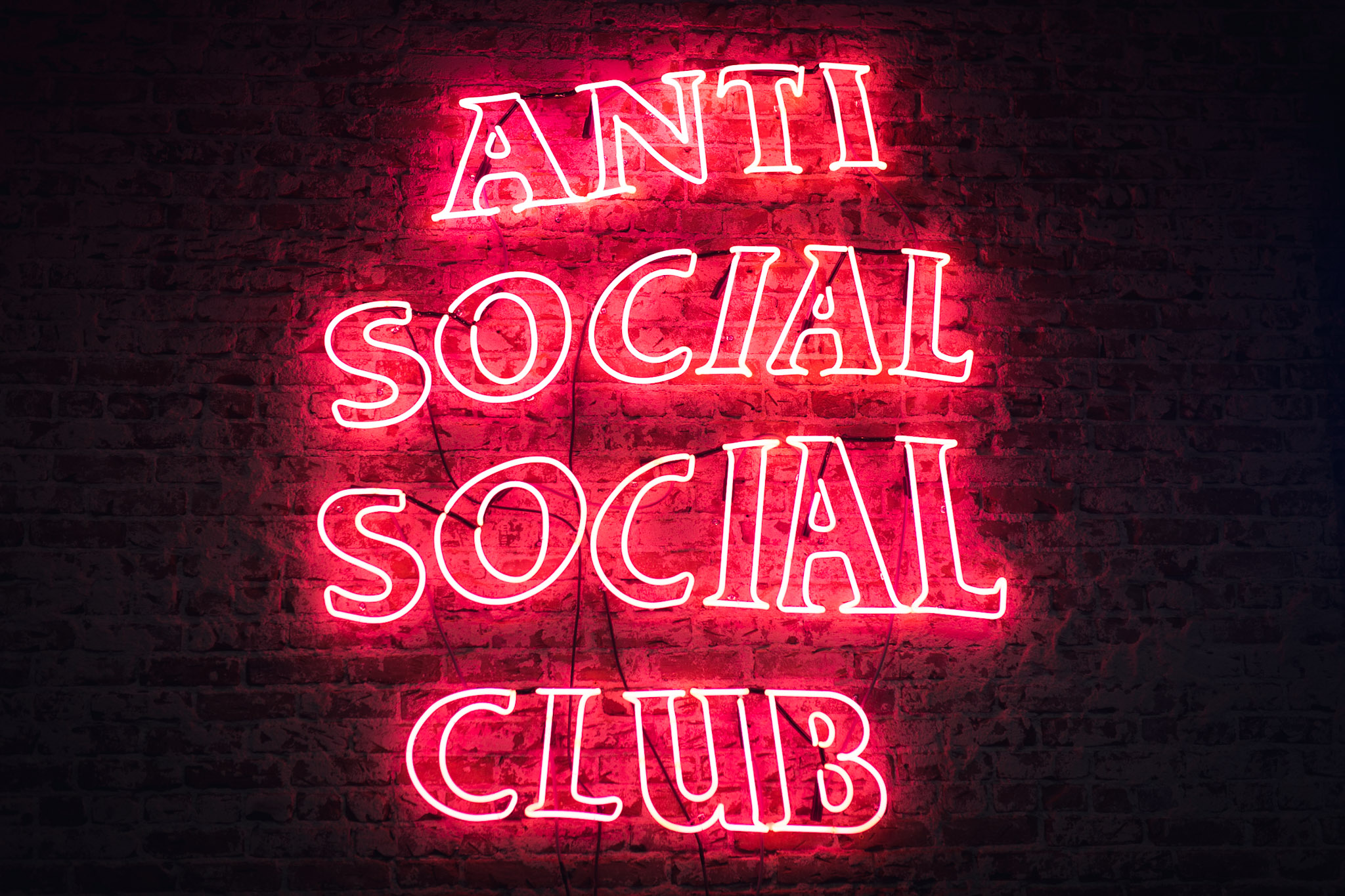 fond d'écran anti social social club,signalisation électronique,enseigne au néon,néon,rouge,texte