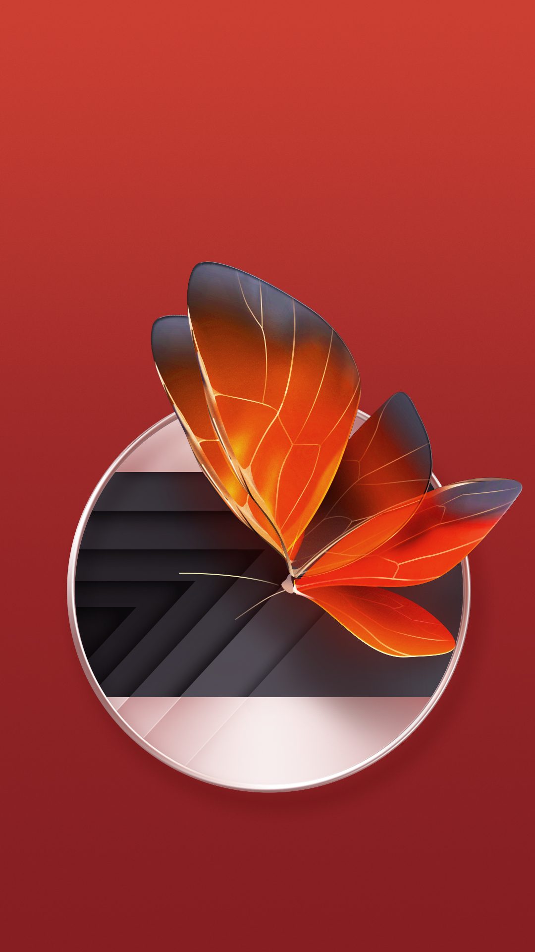 zte wallpaper,orange,red,leaf,butterfly,still life photography