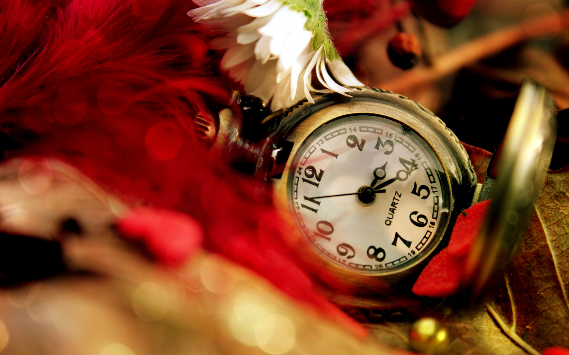 waches clocks wallpaper,watch,red,pocket watch,close up,still life photography