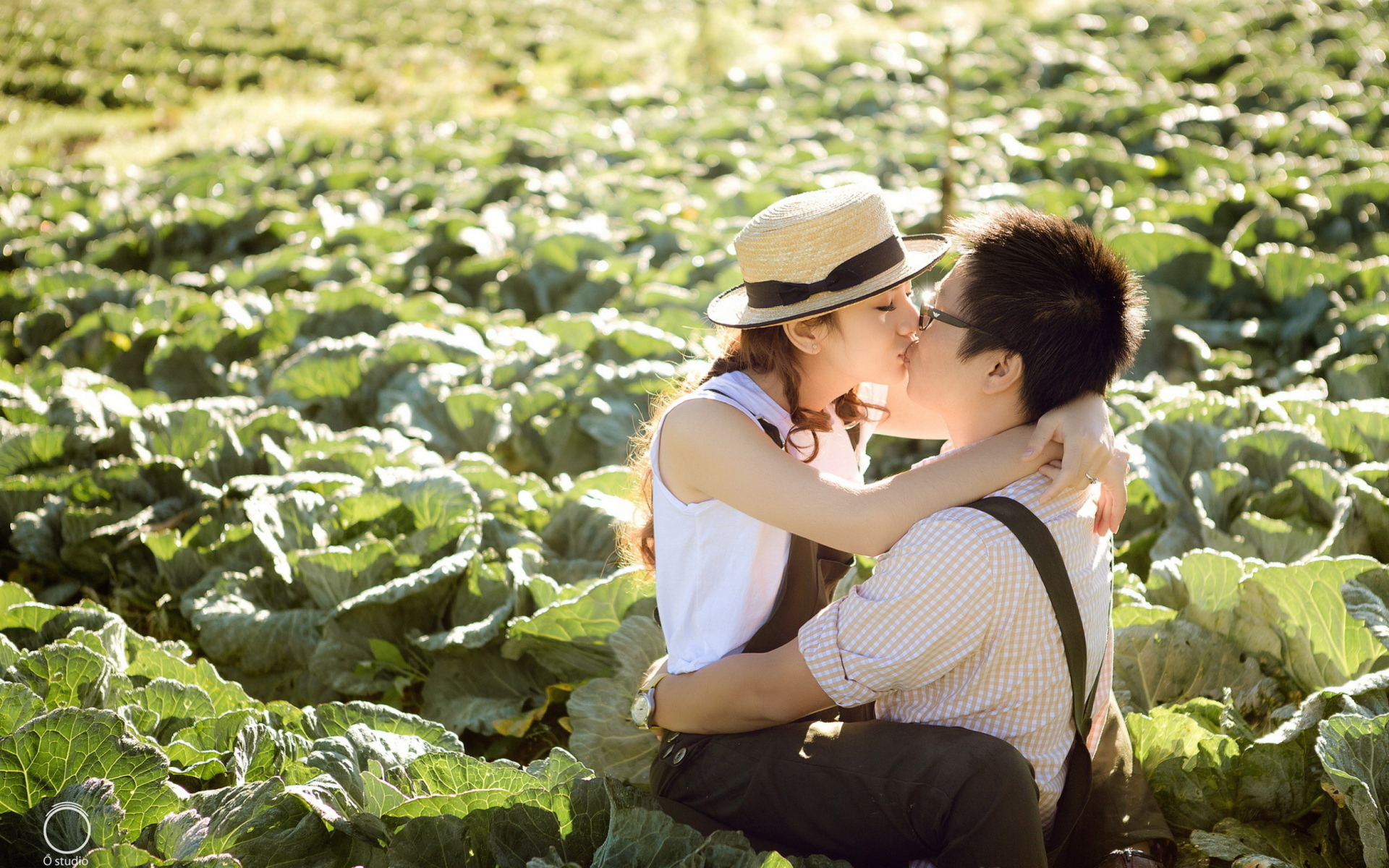 kiss wallpaper full hd,people in nature,botany,plant,crop,adaptation