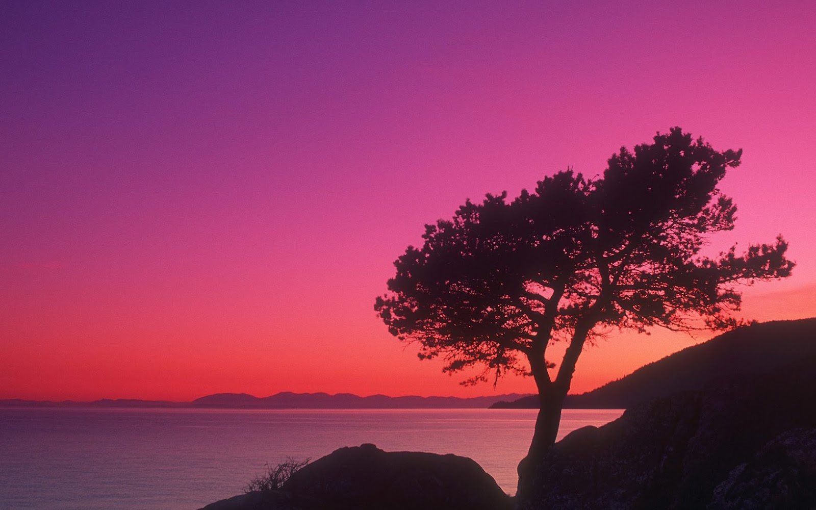 fondo de pantalla de fecha y hora,cielo,resplandor crepuscular,naturaleza,horizonte,rosado