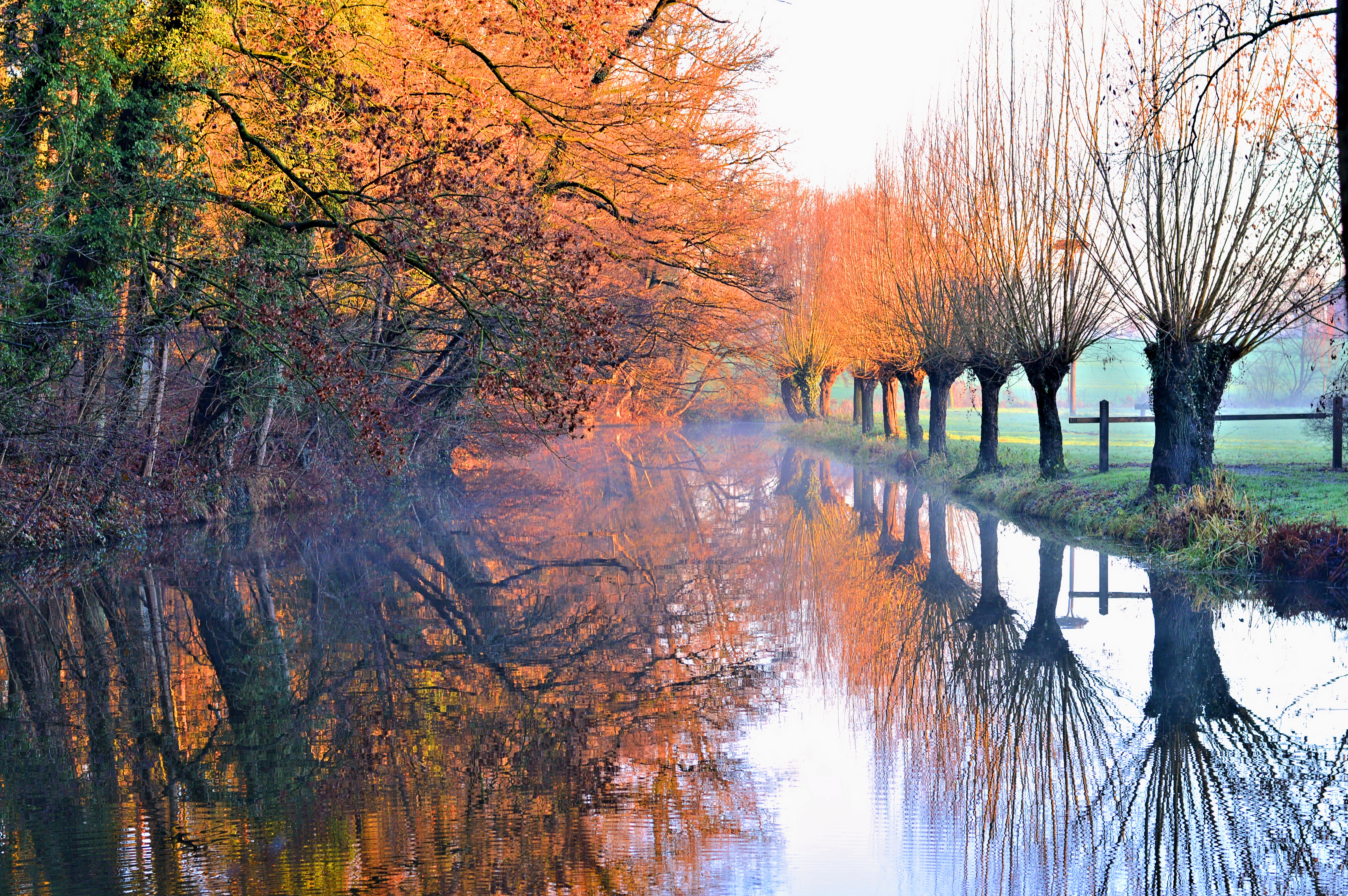 download di sfondi hd per android,riflessione,paesaggio naturale,natura,albero,acqua