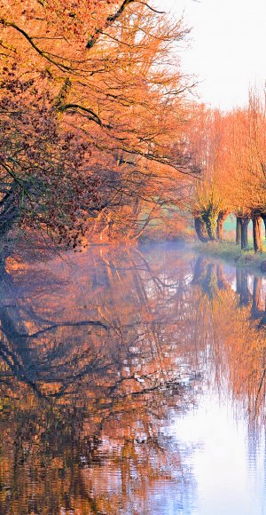 download di sfondi hd per android,natura,riflessione,paesaggio naturale,acqua,pittura