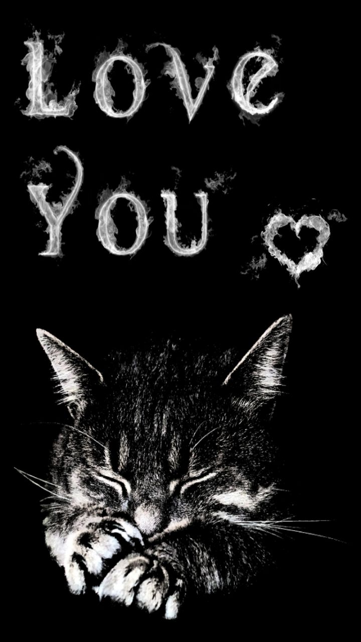 beautiful love wallpaper for mobile phone,cat,whiskers,black cat,felidae,small to medium sized cats