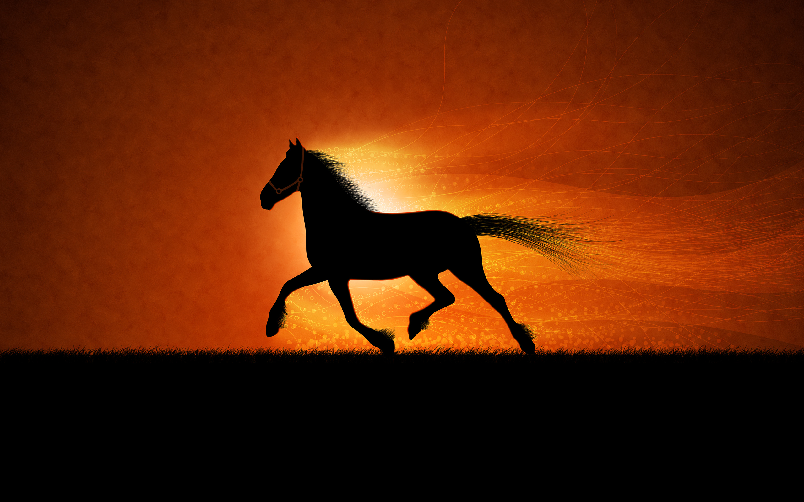 running horse wallpaper,pferd,mähne,hengst,silhouette,mustangpferd