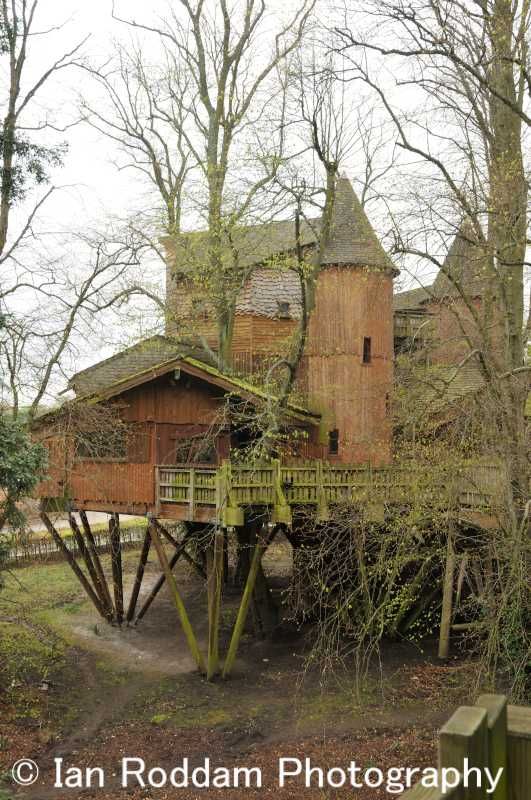 ungewöhnliche tapete für wohnzimmer,haus,baum,gebäude,baumhaus,pflanze