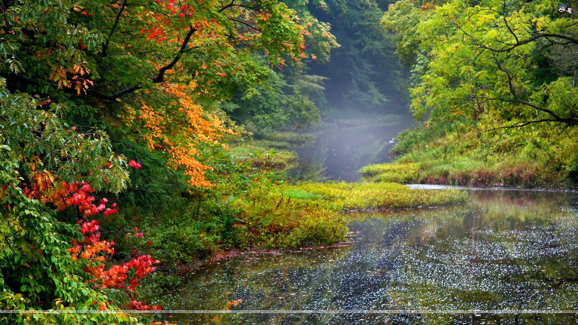산타 반타 hd 월페이퍼 1080p,자연 경관,자연,물줄기,나무,잎