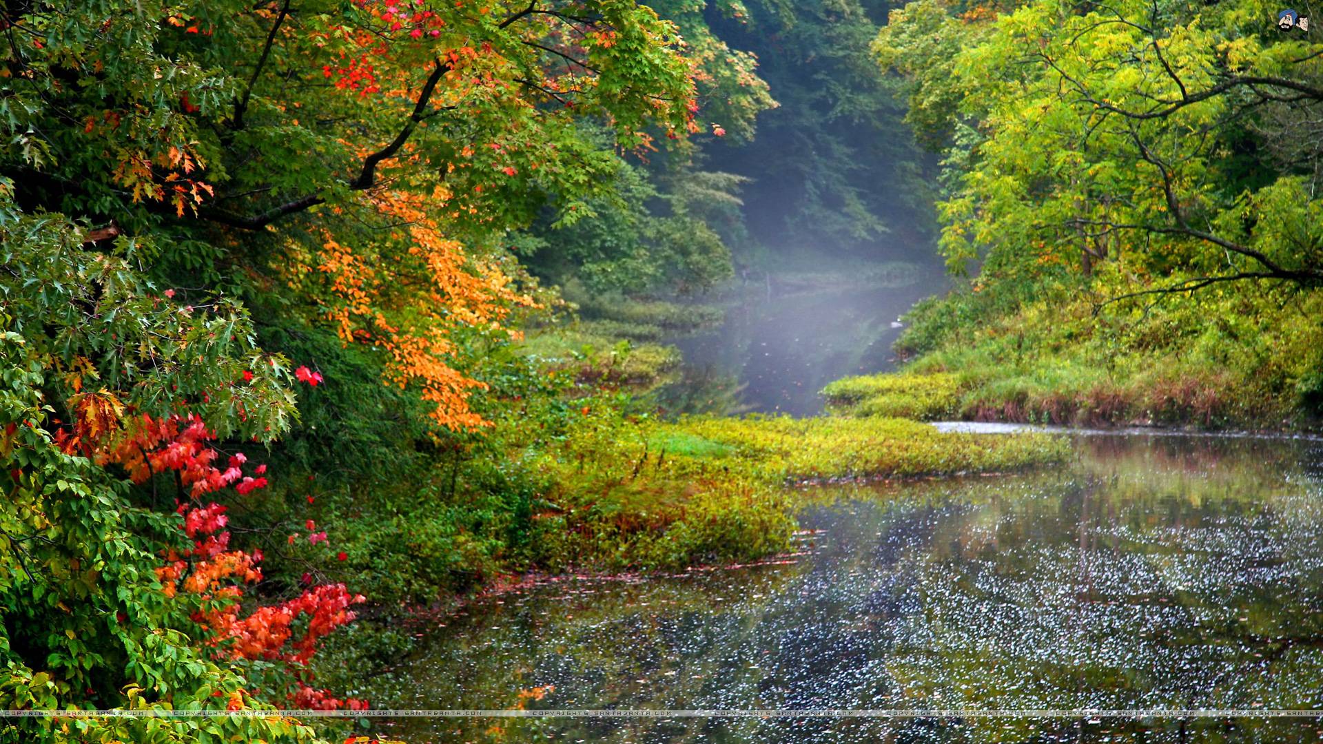 Santabanta Hd Wallpaper 1080p Naturliche Landschaft Natur Gewasser Baum Blatt 988322 Wallpaperuse