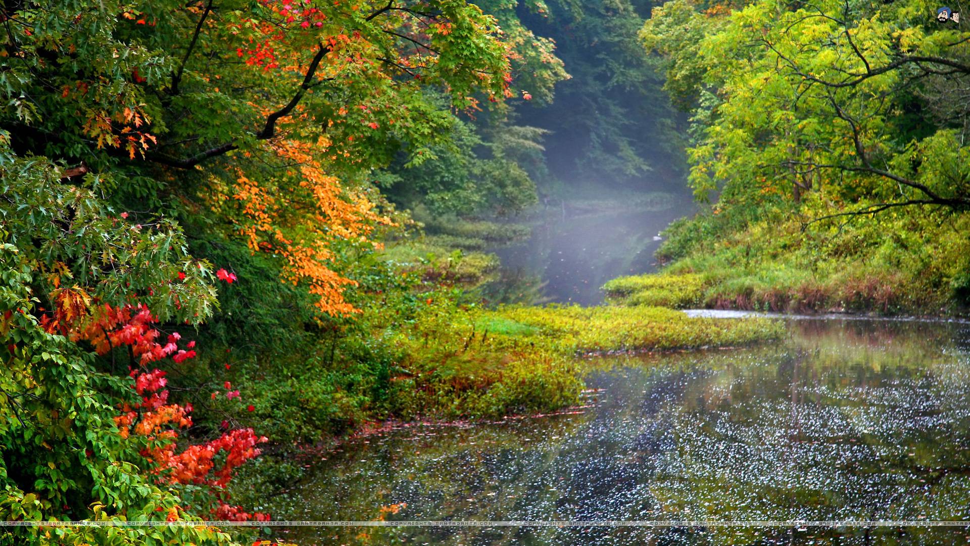 santabanta hd wallpaper 1080p,natürliche landschaft,natur,gewässer,baum,blatt