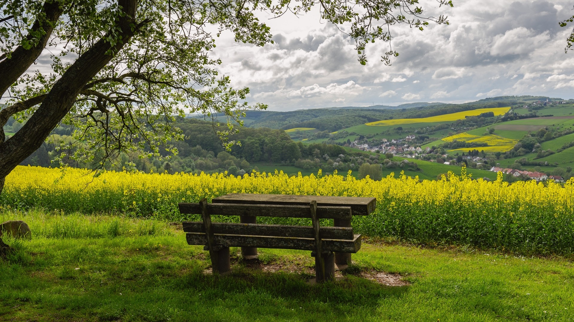 santabanta hd wallpapers 1080p,natural landscape,nature,bench,meadow,furniture