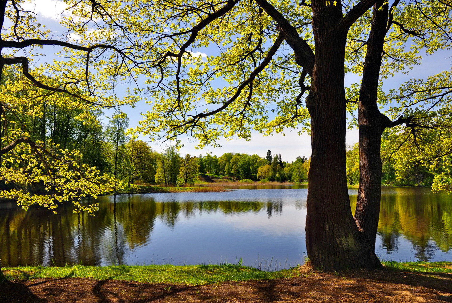 hd wallpaper natura a schermo intero,paesaggio naturale,albero,natura,riflessione,corpo d'acqua