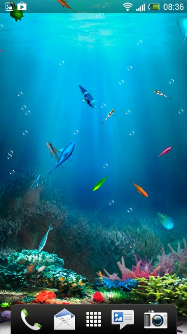 underwater live wallpaper,underwater,marine biology,water,fish,organism