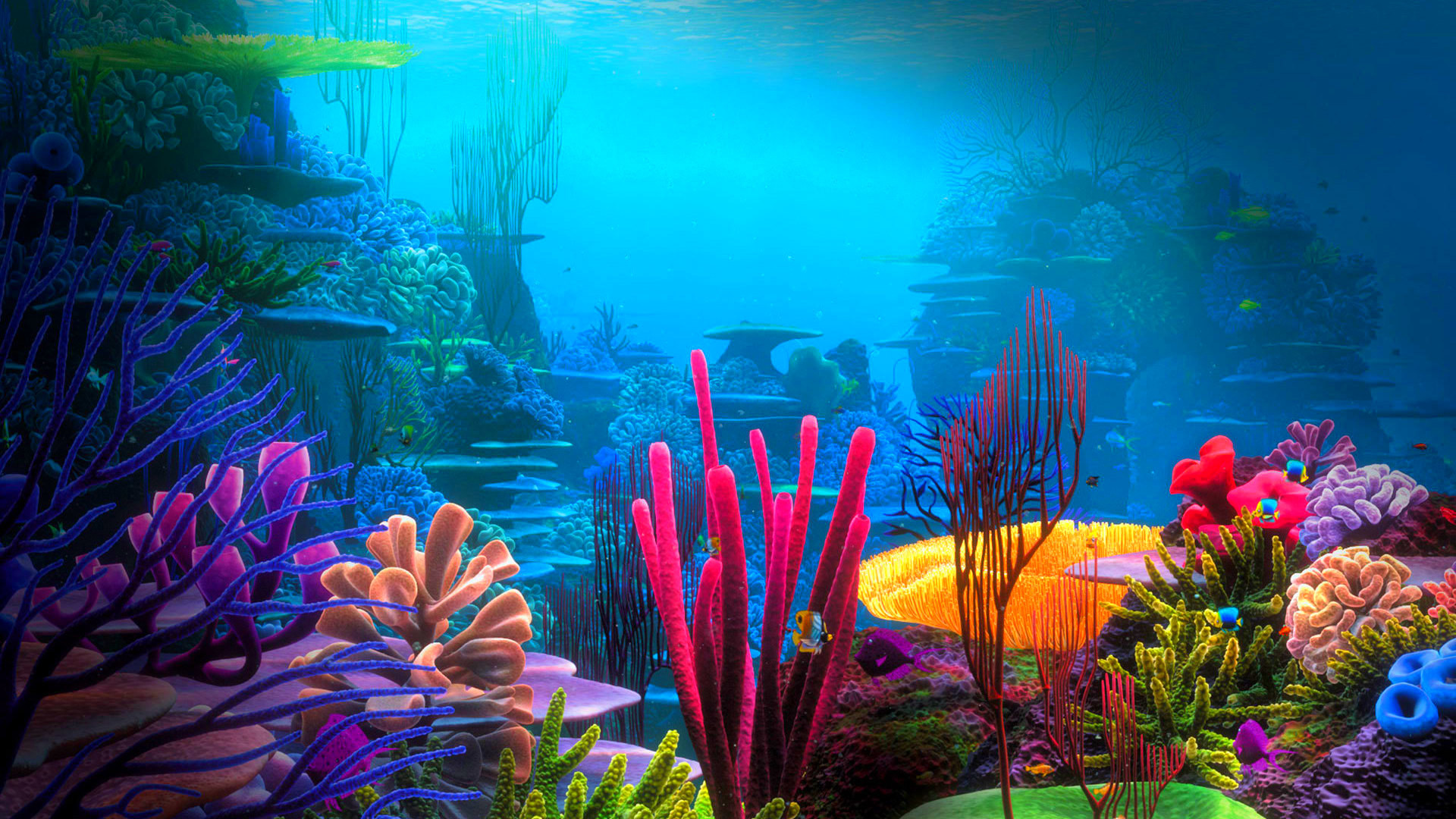 live wallpaper sott'acqua,natura,subacqueo,barriera corallina,acquario d'acqua dolce,scogliera