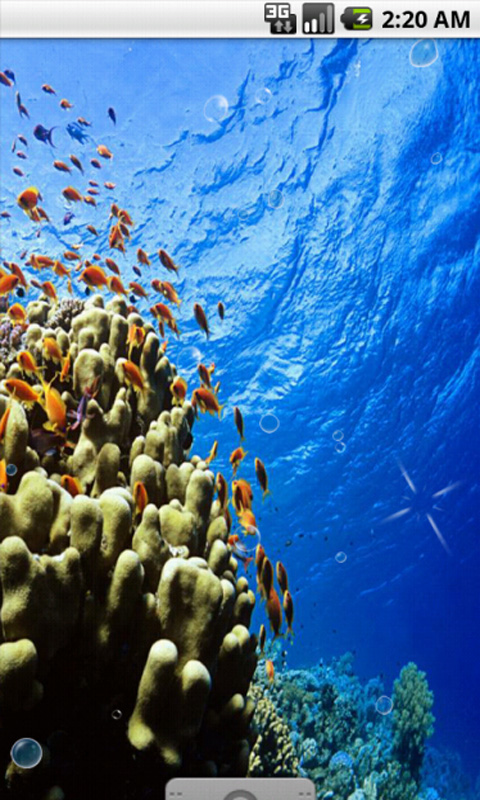 underwater live wallpaper,coral reef,reef,underwater,coral reef fish,marine biology