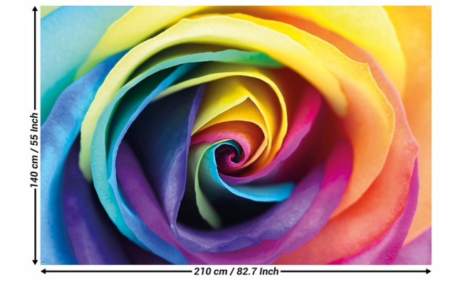 romantic wallpaper full size,rainbow rose,rose,rose family,petal,flower