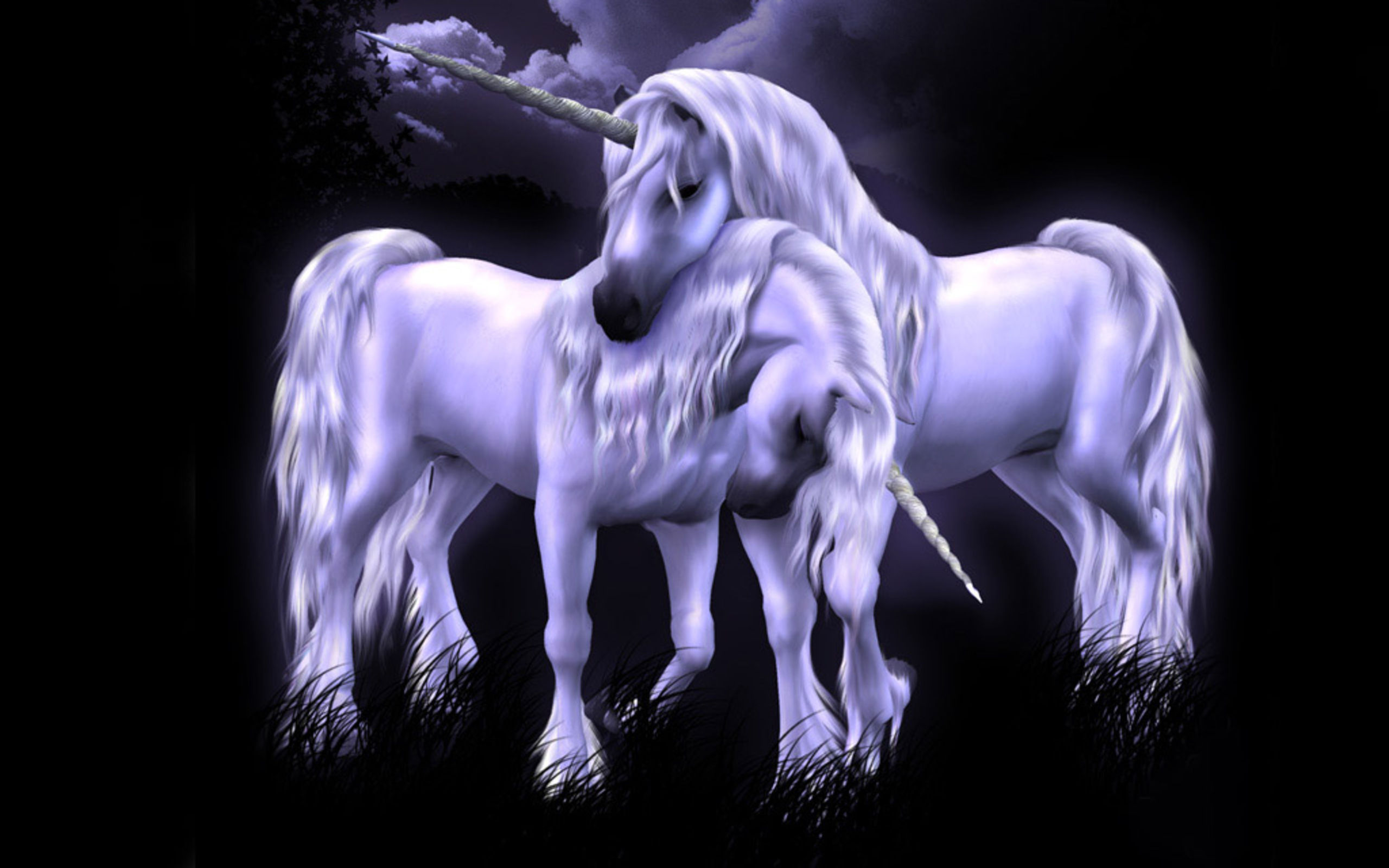 einhorn wallpaper,horse,unicorn,mane,fictional character,mythical creature