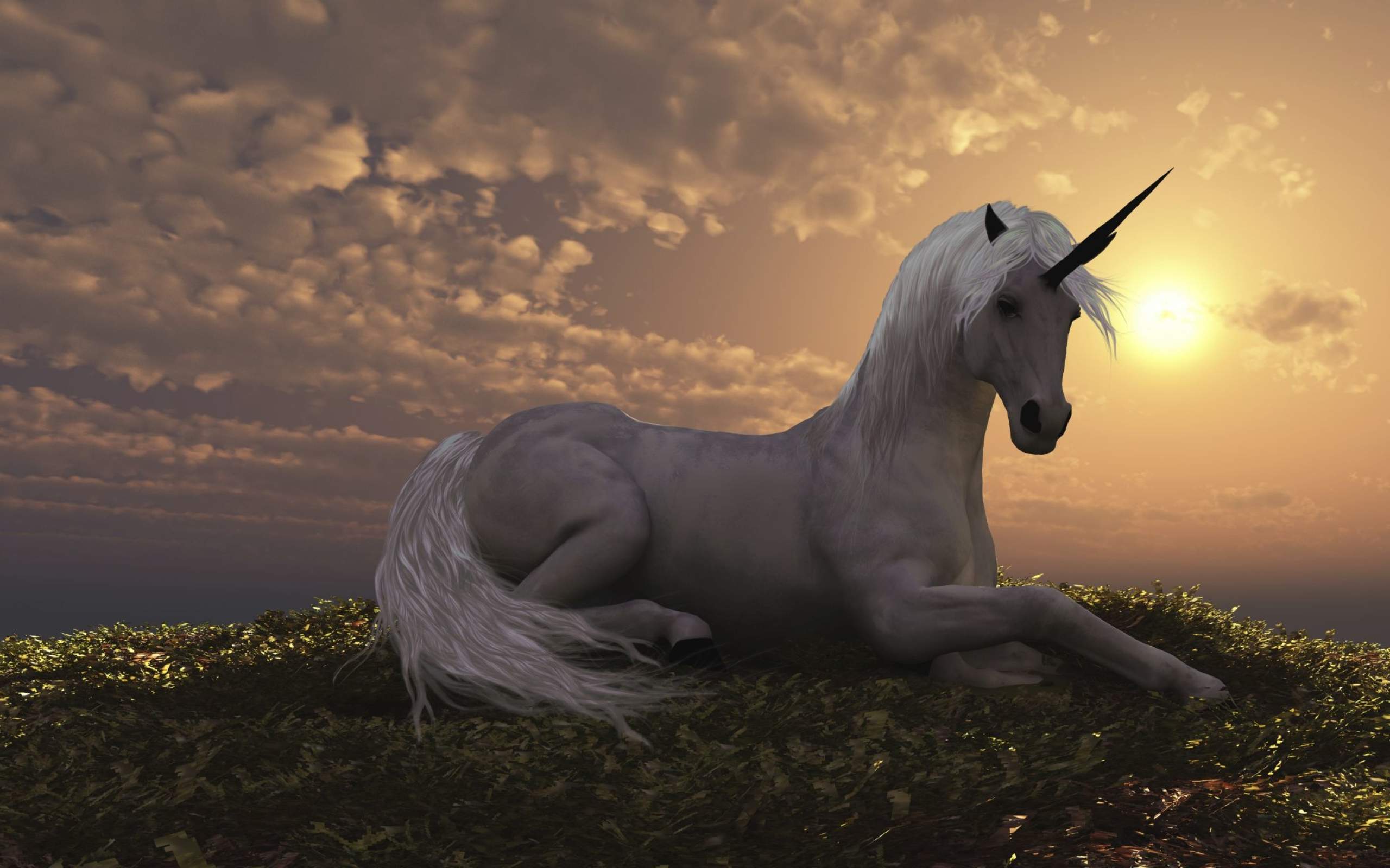 fondo de pantalla de einhorn,unicornio,cielo,personaje de ficción,caballo,criatura mítica