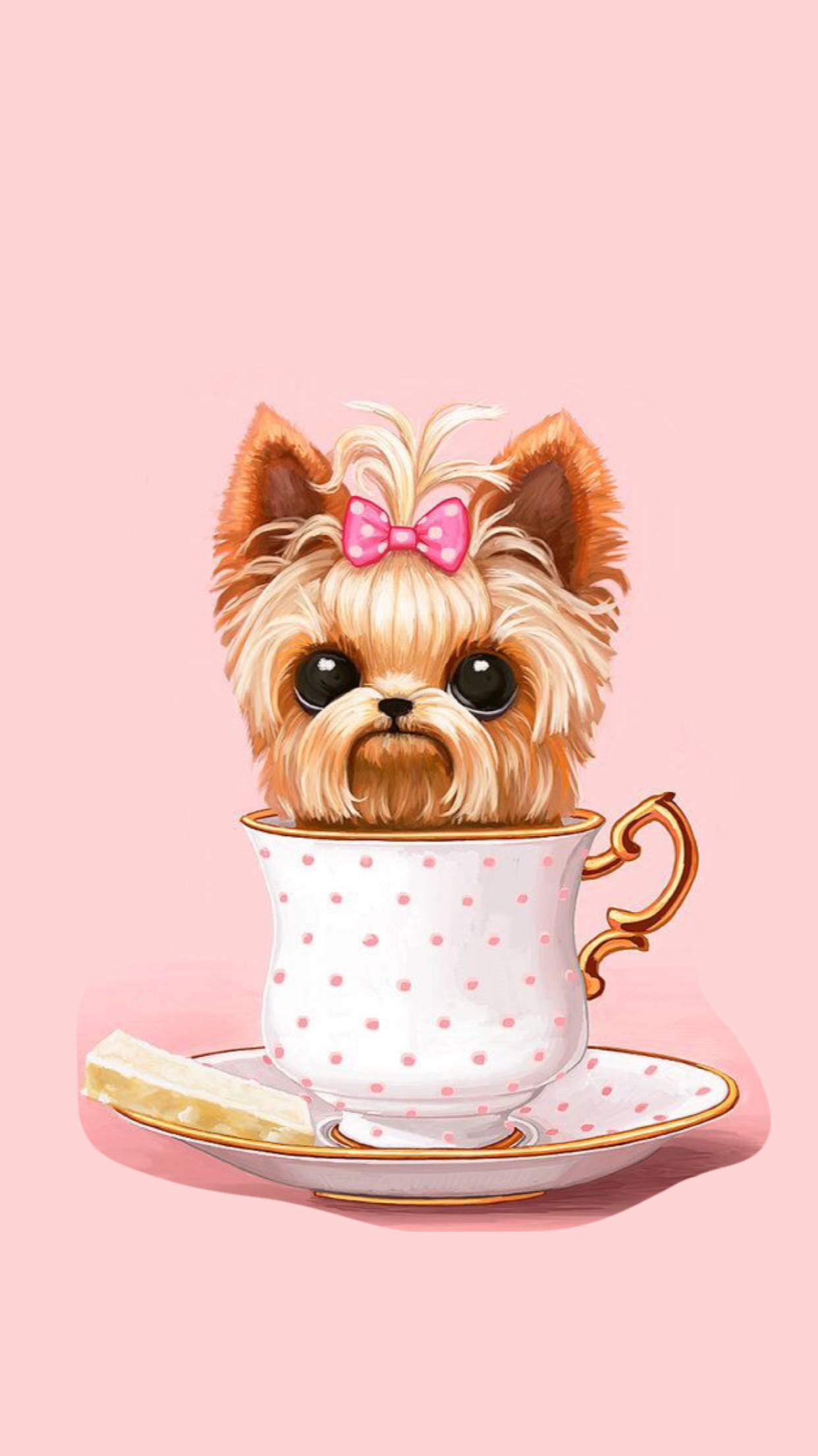 lindos fondos de pantalla y fondos,perro,taza,taza para té,yorkshire terrier,perrito