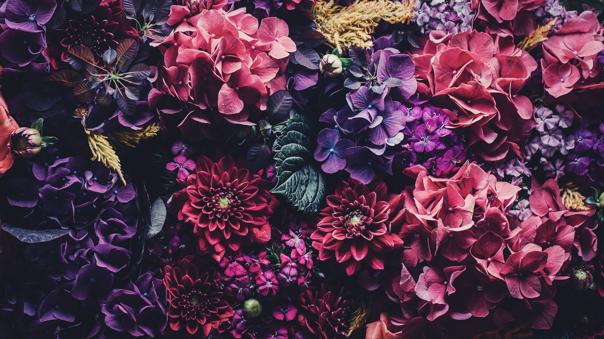pinterest壁紙hd,紫の,花,バイオレット,ピンク,花柄