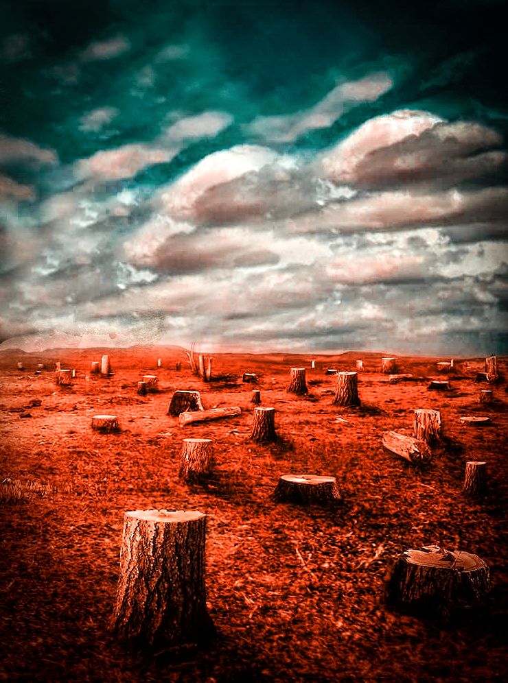 hintergrundbild der fotobearbeitung,himmel,natur,natürliche landschaft,horizont,wolke