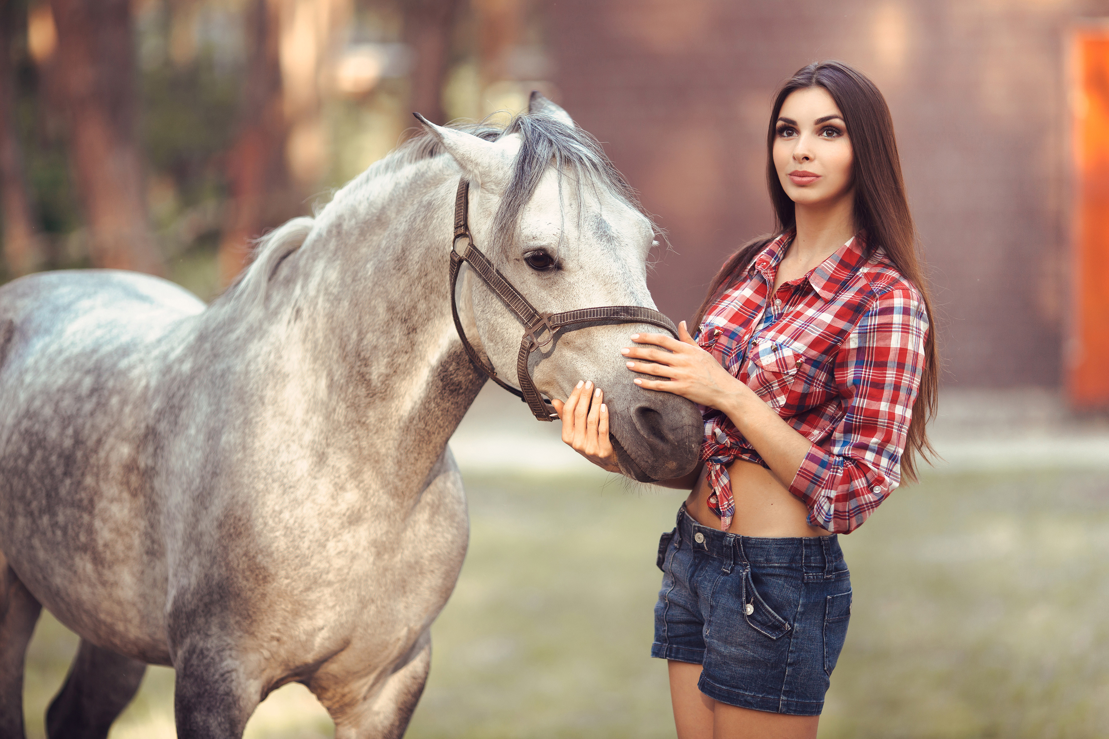 fondos de pantalla mujeres,caballo,belleza,semental,melena,amistad