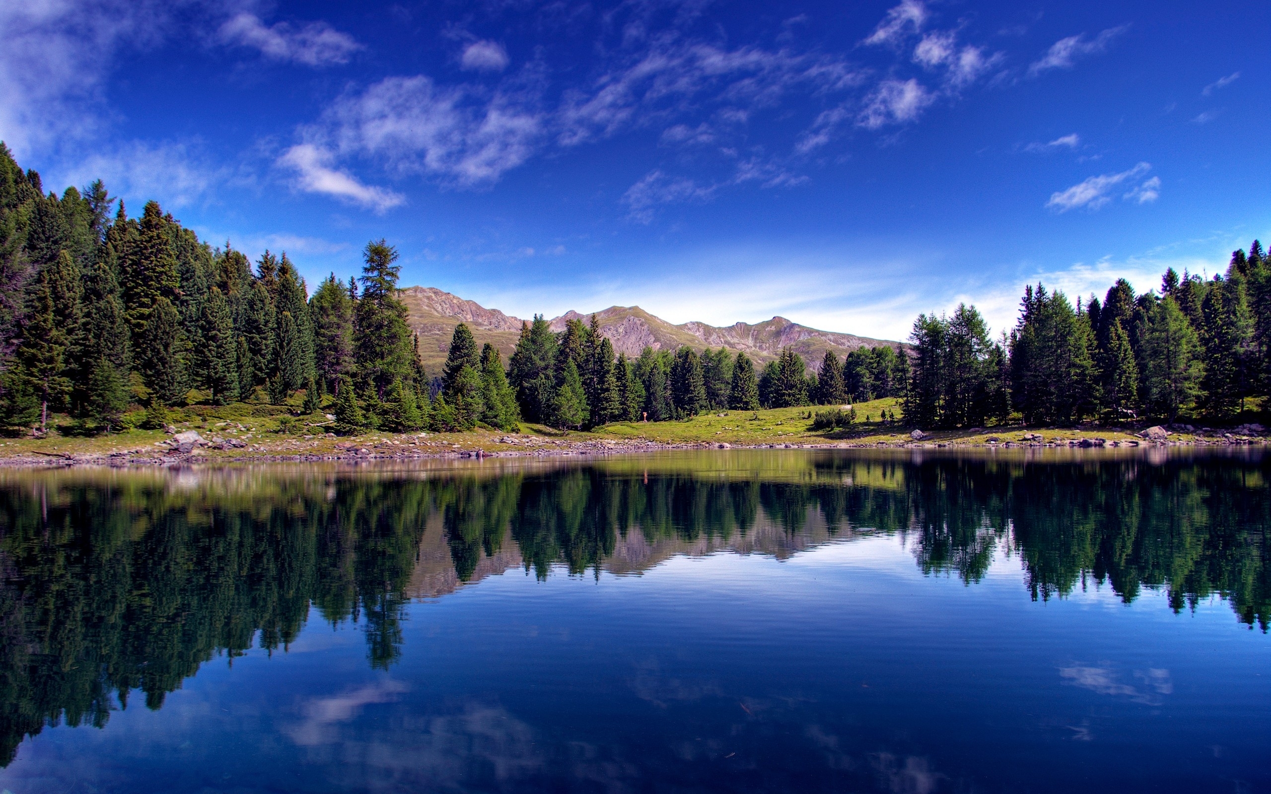 bosque wallpaper,reflection,nature,natural landscape,sky,water