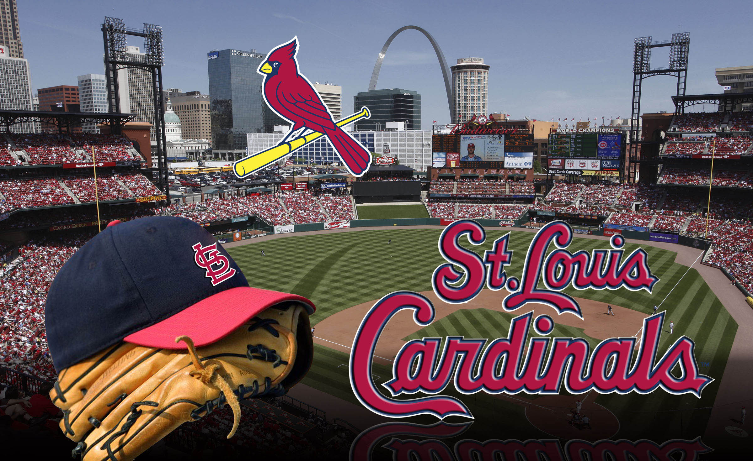 st louis cardinals wallpaper,fan,sport venue,stadium,product,baseball field