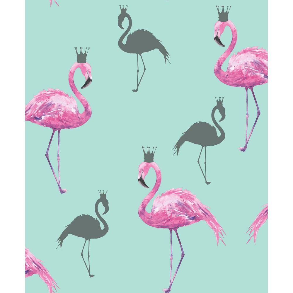 pink flamingo wallpaper,flamingo,bird,greater flamingo,pink,water bird