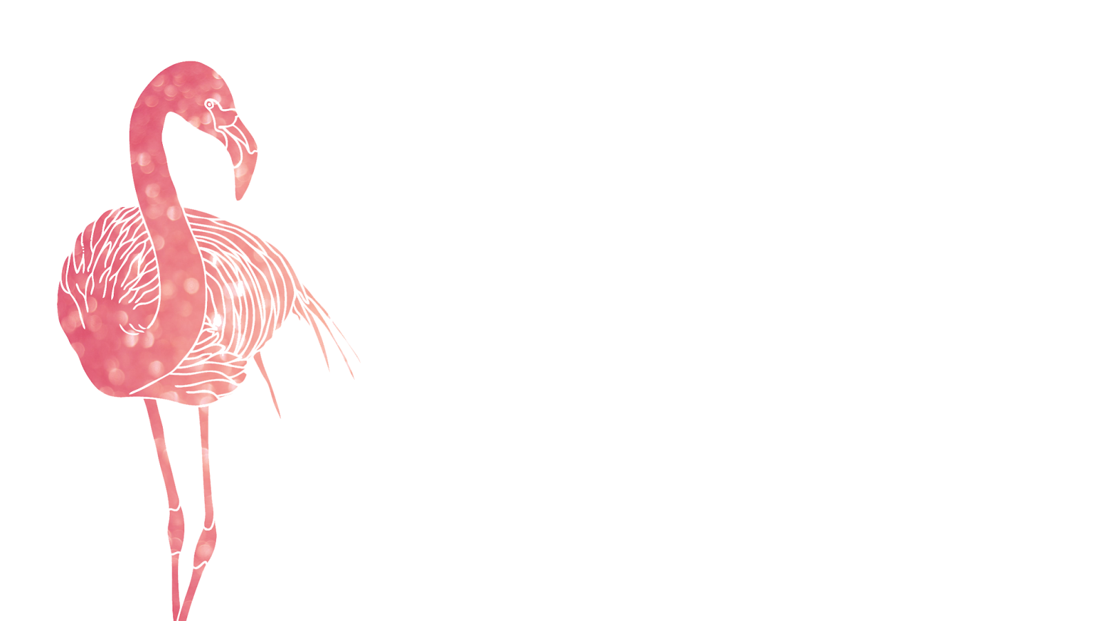 pink flamingo wallpaper,flamingo,greater flamingo,bird,water bird,pink