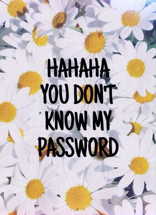 you don t know my password wallpaper,mayweed,chamomile,camomile,daisy,text