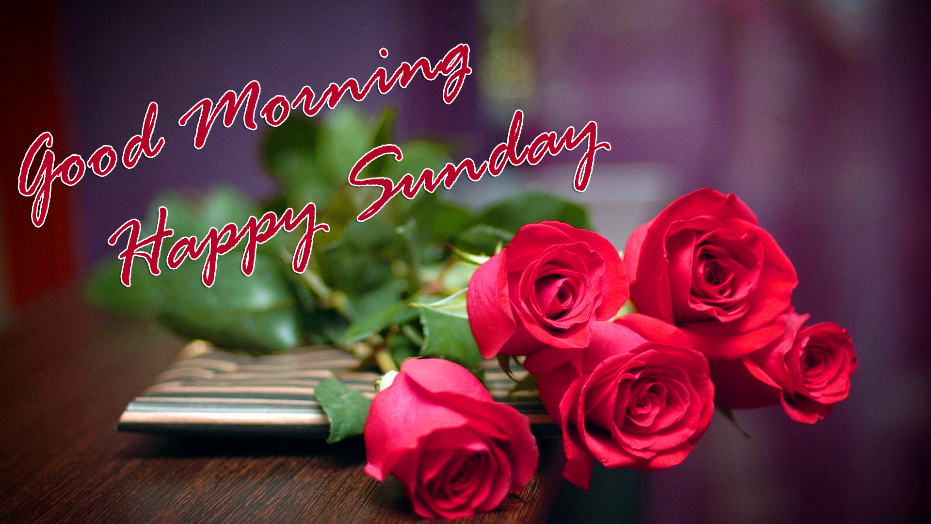 sunday good morning wallpaper,pink,text,garden roses,red,flower