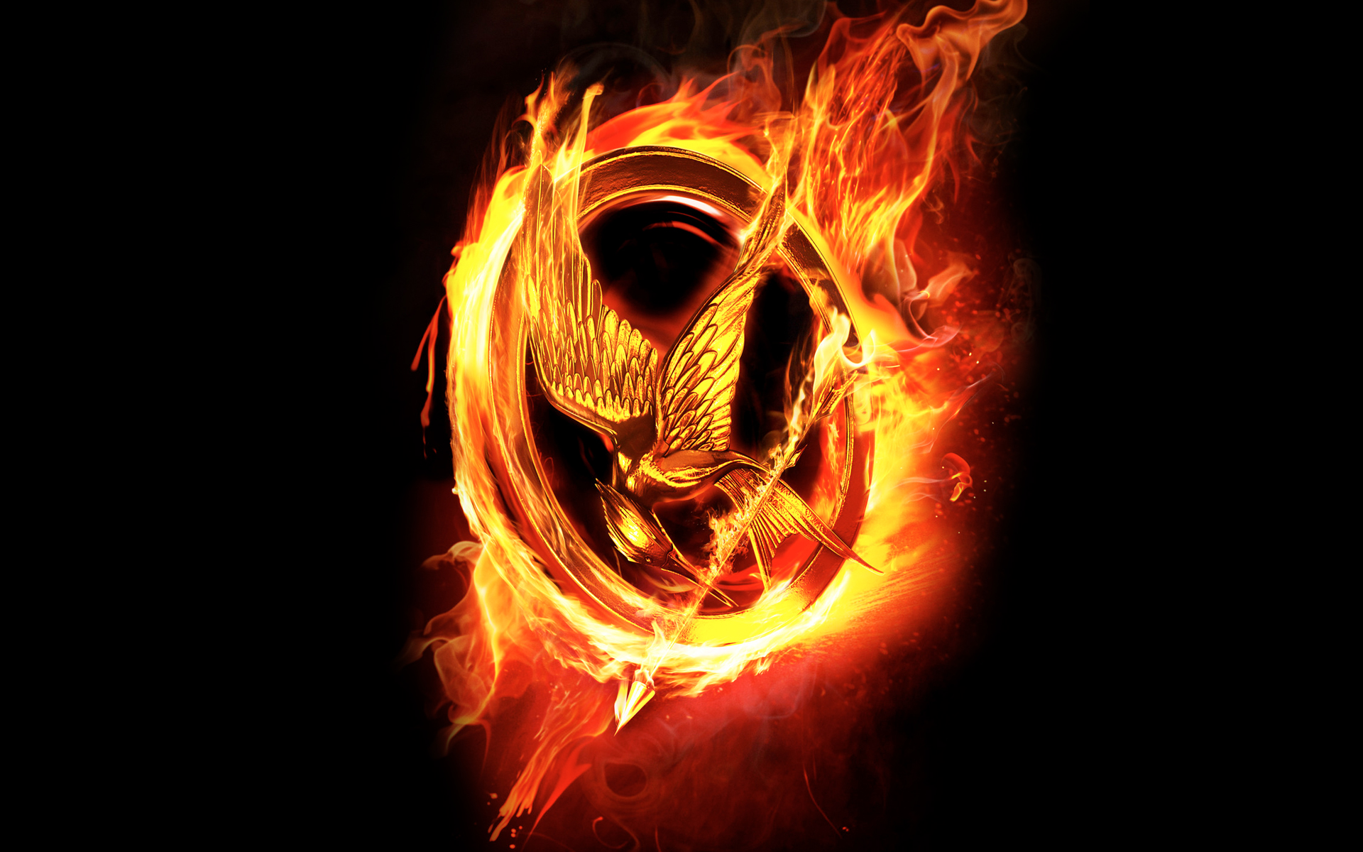 hunger games wallpaper,flamme,hitze,feuer,orange,licht