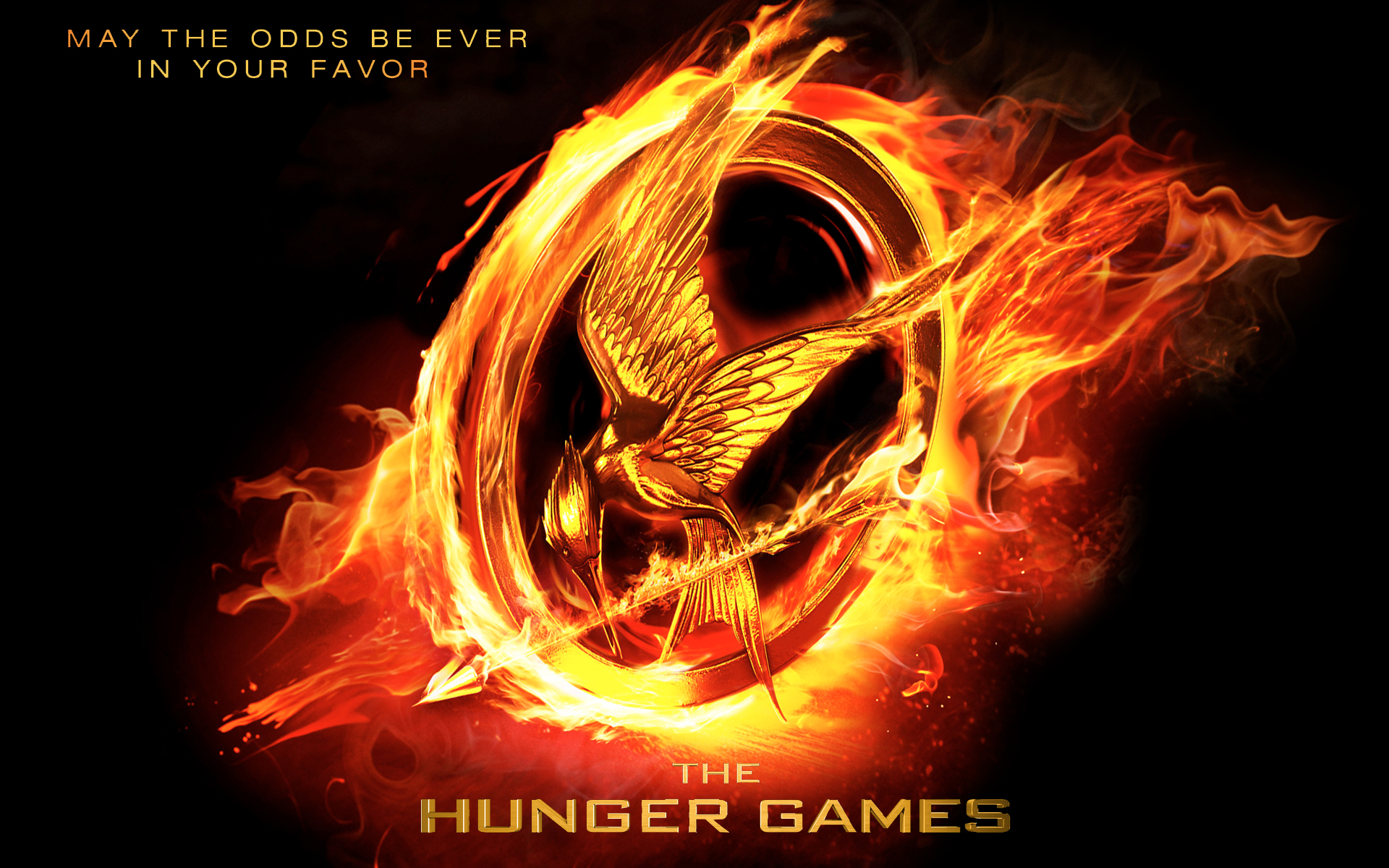 hunger games wallpaper,flamme,hitze,text,schriftart,feuer