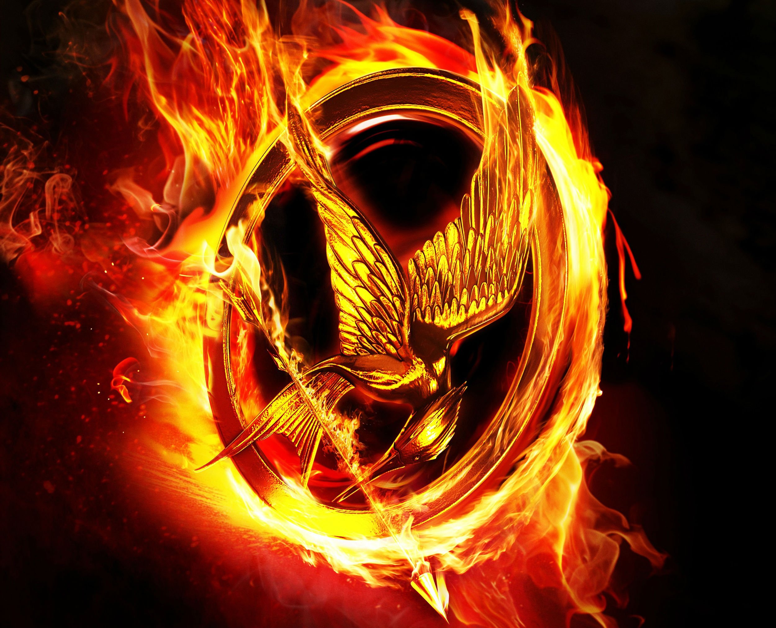 hunger games wallpaper,flame,fire,heat,orange,font