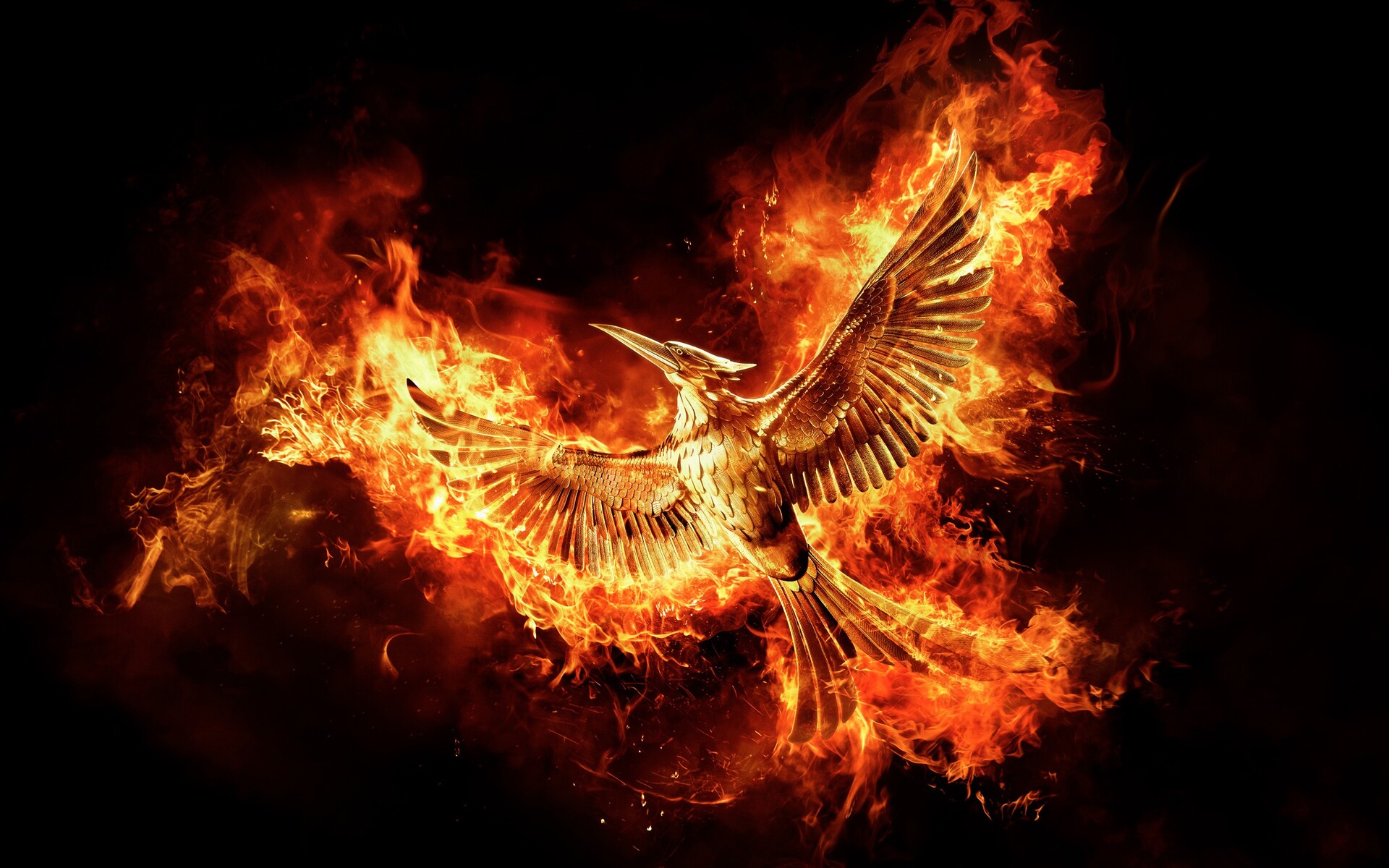 hunger games wallpaper,flame,fire,heat,orange,fractal art