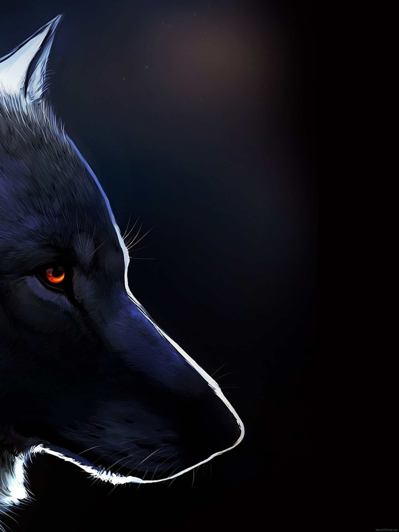 lone wolf wallpaper,canidae,dog,snout,dog breed,carnivore