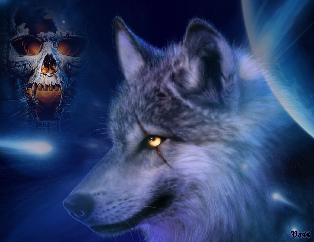 fondo de pantalla de lobo 3d,lobo,fauna silvestre,hocico,canis lupus tundrarum,perro lobo