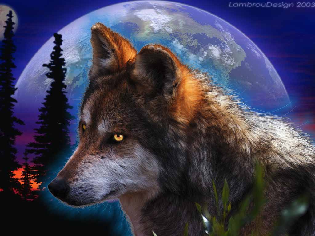 fondo de pantalla de lobo 3d,lobo,lobo rojo,fauna silvestre,canis lupus tundrarum,cielo