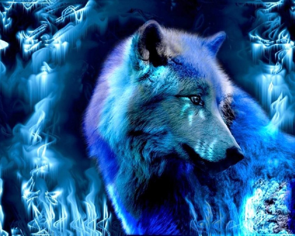 wallpaper serigala,blue,wolf,canidae,wildlife,canis lupus tundrarum