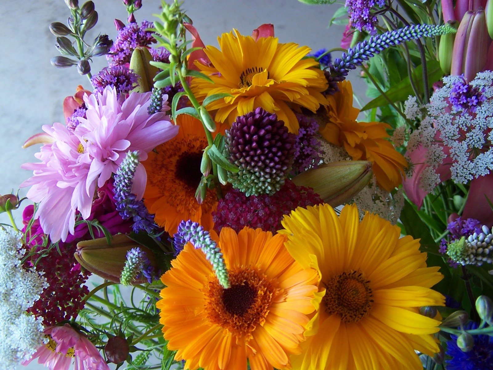 schönsten blumen tapeten,blume,strauß,blumen arrangement,floristik,schnittblumen