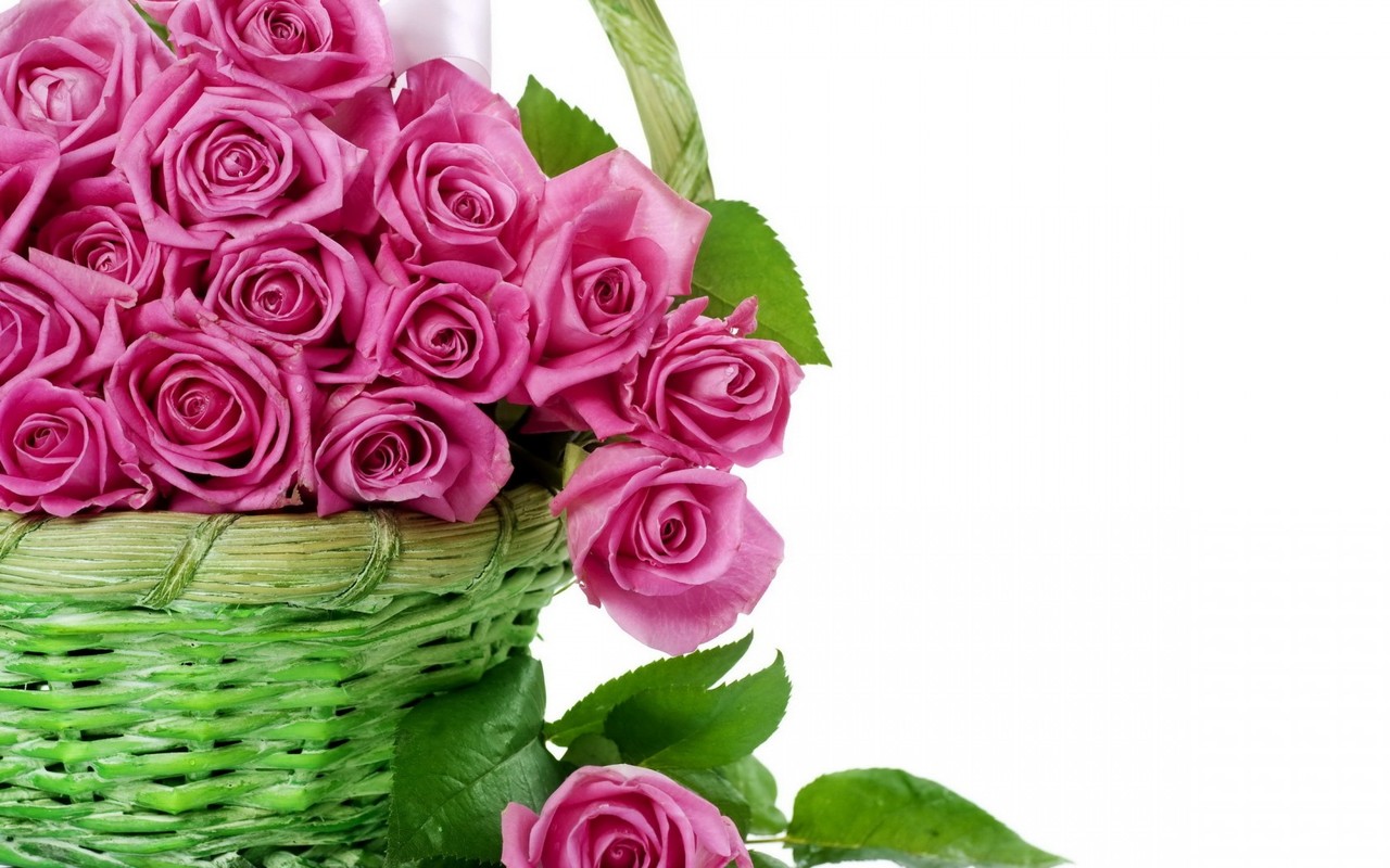 花hd壁紙フルサイズ,花,庭のバラ,ローズ,花束,ピンク