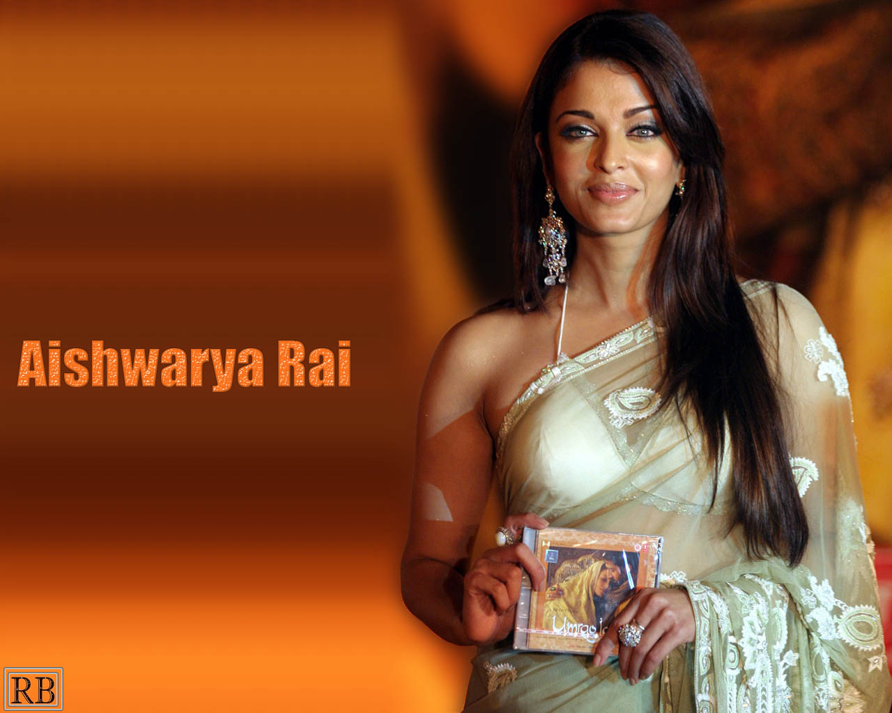 aishwarya rai ke wallpaper,abdomen,sari,trunk