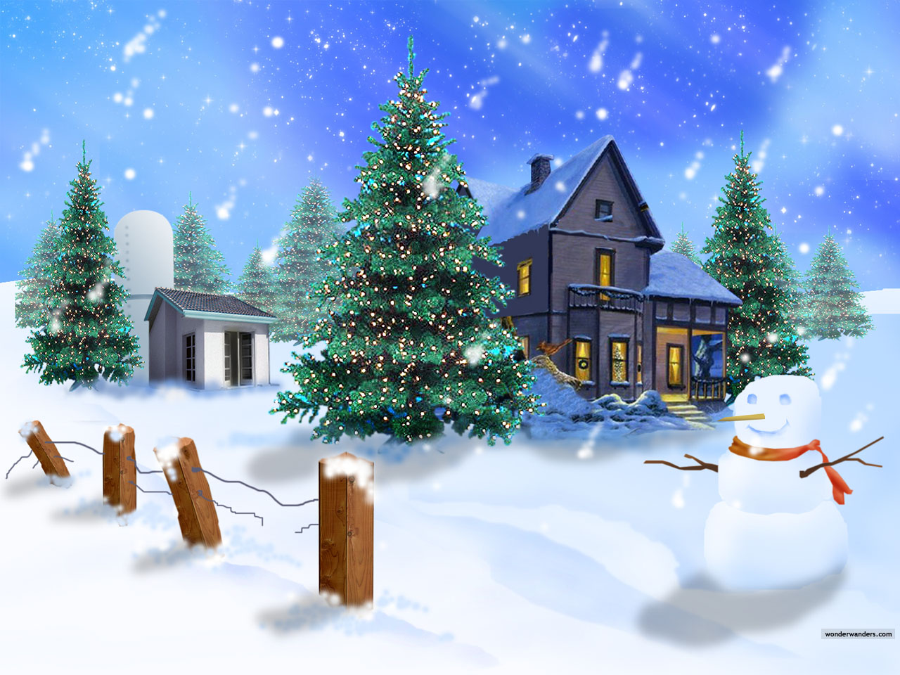 무료 크리스마스 벽지 다운로드,겨울,나무,크리스마스 트리,자연,콜로라도 가문비 나무