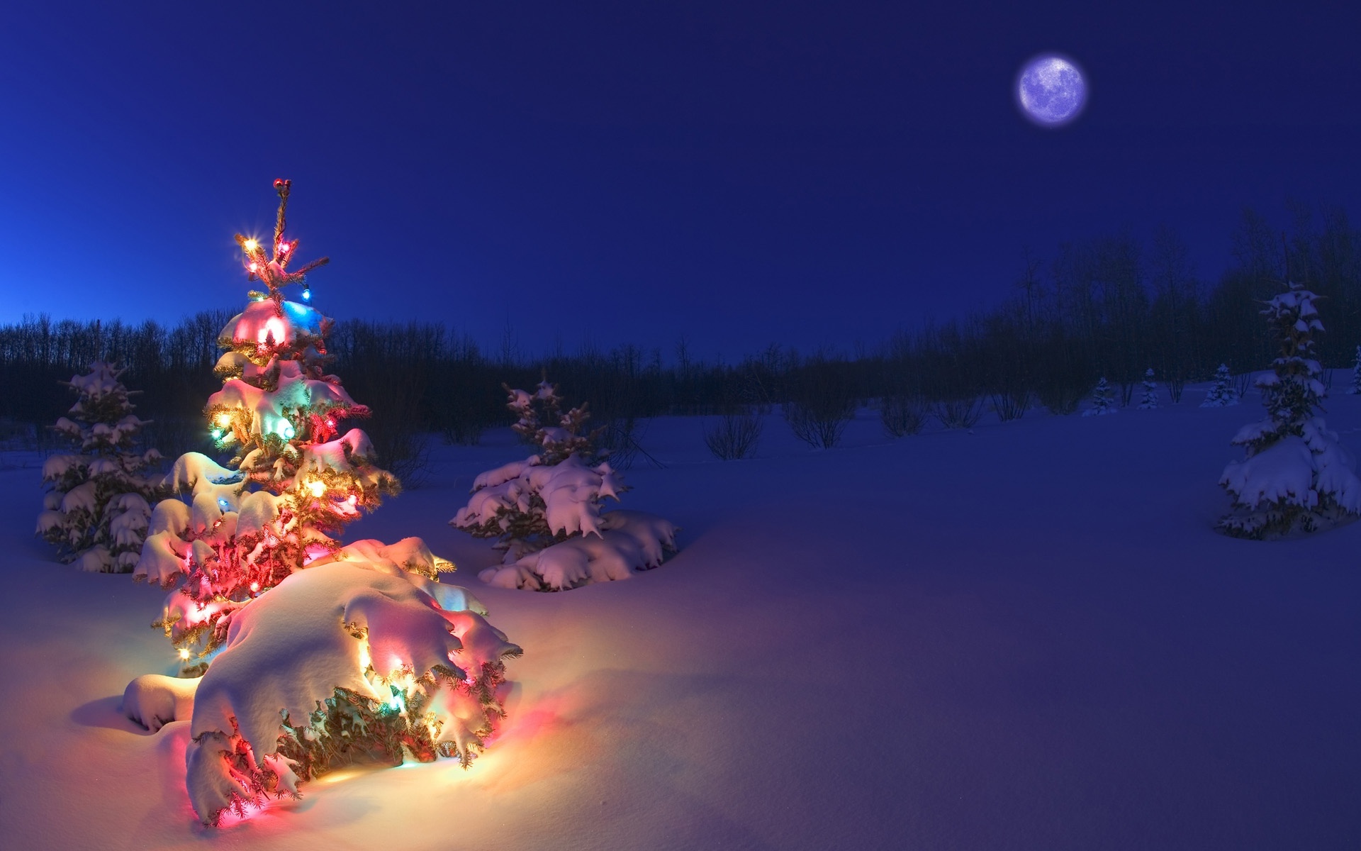 weihnachtstapete 2017,natur,weihnachtsbaum,himmel,winter,weihnachten